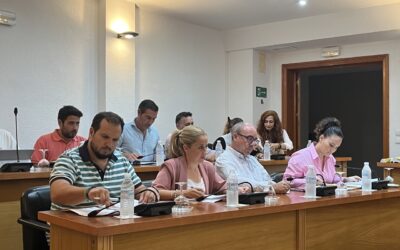 Reclamamos a la Junta de Andalucía que retire de los centros educativos el amianto existente